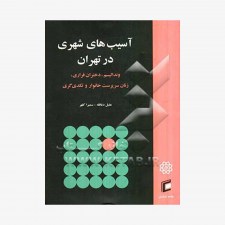 تصویر جلد کتاب آسیب‌های شهری در تهران وندالیسم، دختران فراری، زنان سرپرست خانوار و تکدی‌گری
